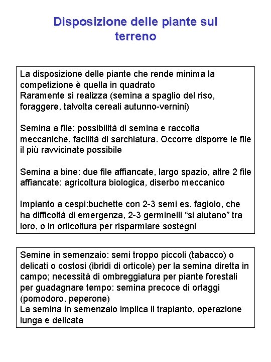 Disposizione delle piante sul terreno La disposizione delle piante che rende minima la competizione