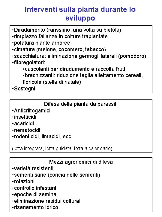 Interventi sulla pianta durante lo sviluppo • Diradamento (rarissimo, una volta su bietola) •