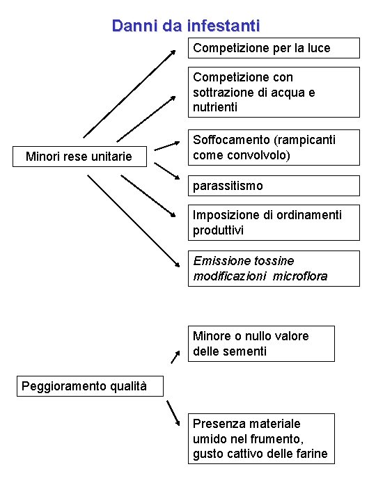 Danni da infestanti Competizione per la luce Competizione con sottrazione di acqua e nutrienti