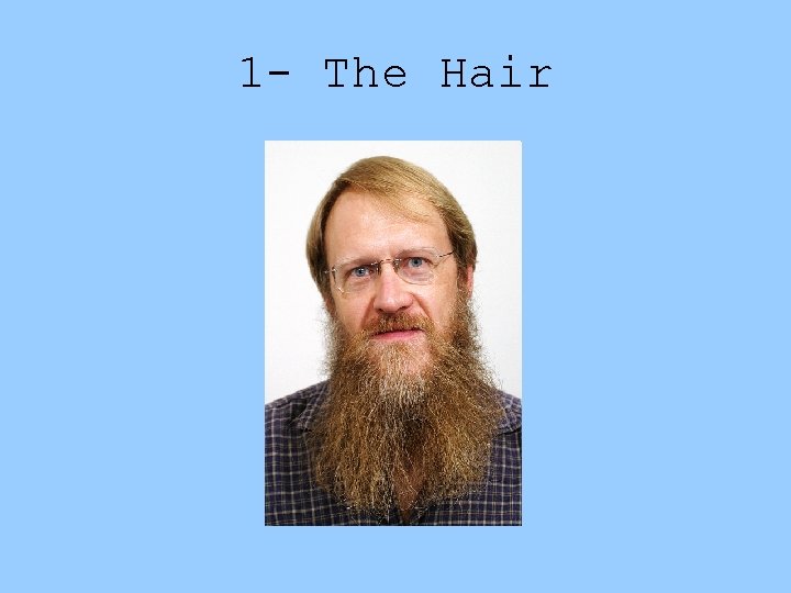 1 - The Hair 