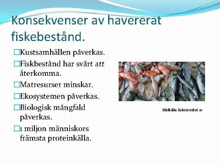 Konsekvenser av havererat fiskebestånd. �Kustsamhällen påverkas. �Fiskbestånd har svårt att återkomma. �Matresurser minskar. �Ekosystemen