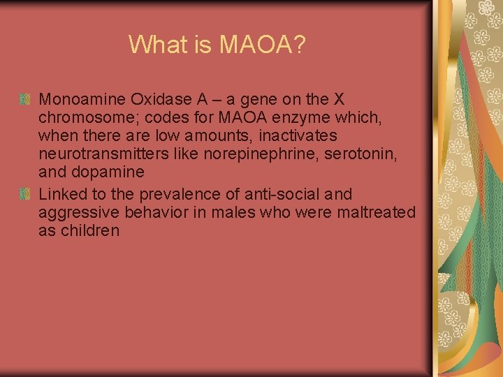 What is MAOA? Monoamine Oxidase A – a gene on the X chromosome; codes