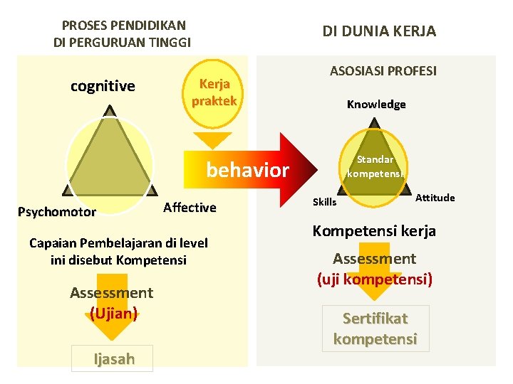 PROSES PENDIDIKAN DI PERGURUAN TINGGI cognitive DI DUNIA KERJA Kerja praktek ASOSIASI PROFESI Knowledge