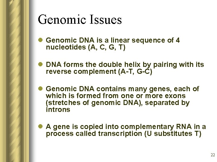 Genomic Issues l Genomic DNA is a linear sequence of 4 nucleotides (A, C,