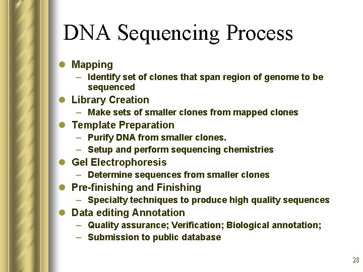 DNA Sequencing Process l Mapping – Identify set of clones that span region of
