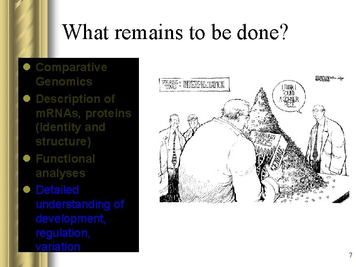 What remains to be done? l Comparative Genomics l Description of m. RNAs, proteins