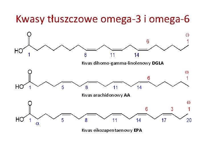 Kwasy tłuszczowe omega-3 i omega-6 Kwas dihomo-gamma-linolenowy DGLA Kwas arachidonowy AA Kwas eikozapentaenowy EPA