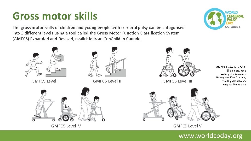 Gross motor skills The gross motor skills of children and young people with cerebral