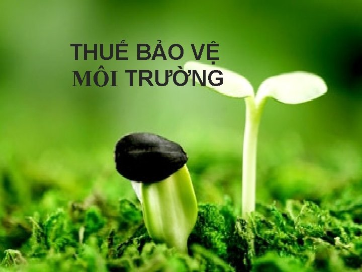 THUẾ BẢO VỆ MÔI TRƯỜNG 