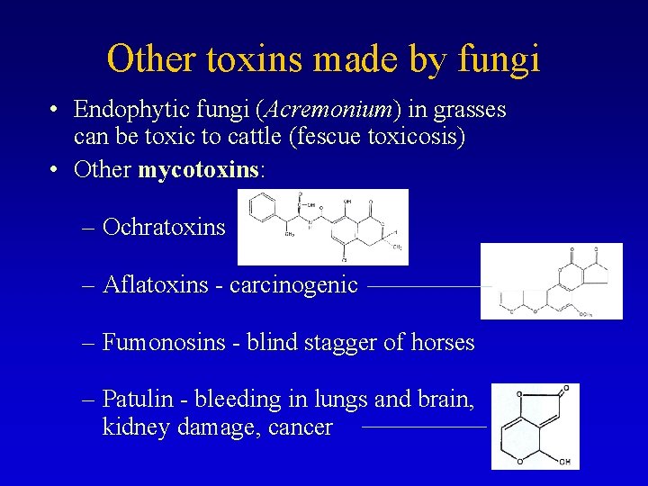 Other toxins made by fungi • Endophytic fungi (Acremonium) in grasses can be toxic