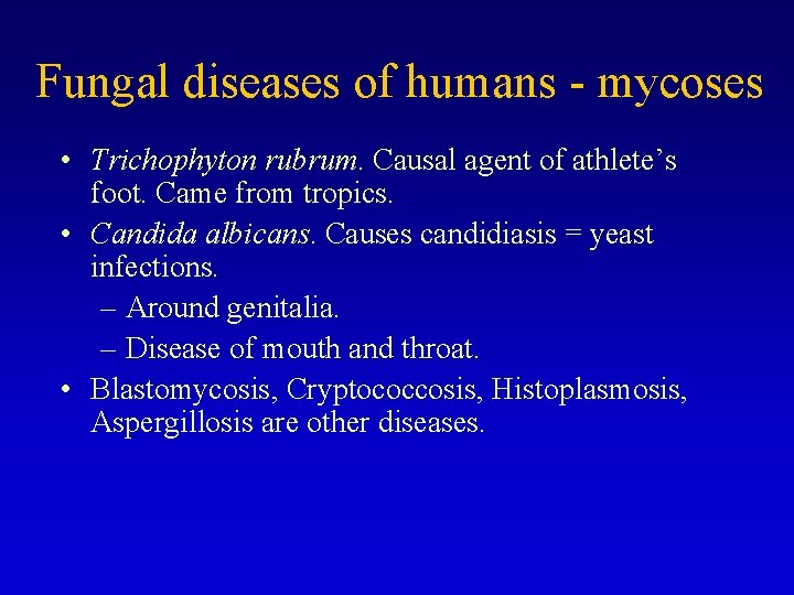 Fungal diseases of humans - mycoses • Trichophyton rubrum. Causal agent of athlete’s foot.