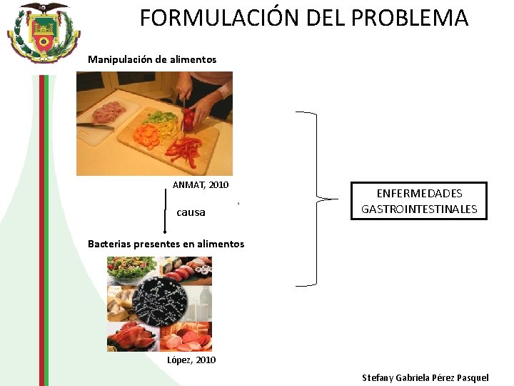 FORMULACIÓN DEL PROBLEMA Manipulación de alimentos ANMAT, 2010 causa ENFERMEDADES GASTROINTESTINALES Bacterias presentes en