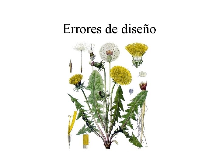 Errores de diseño Errores de diseño