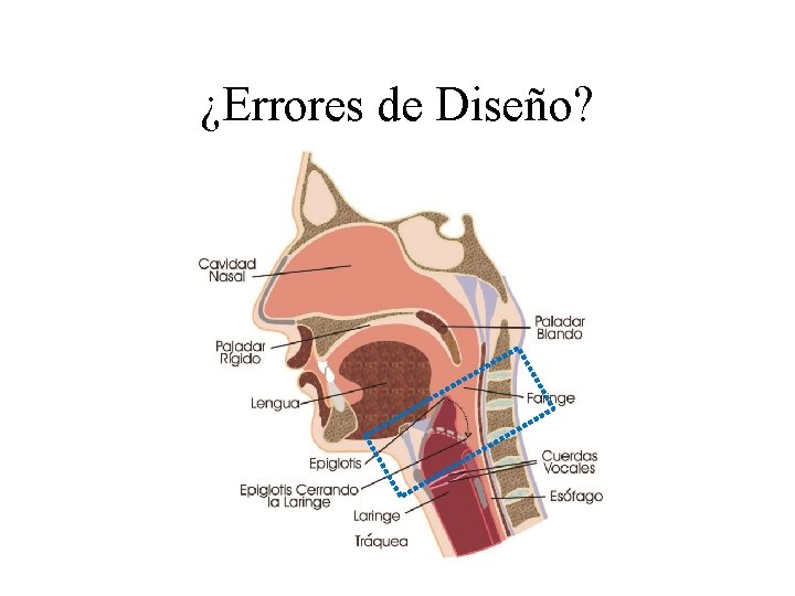¿Errores de Diseño? ¿Errores de Diseño?