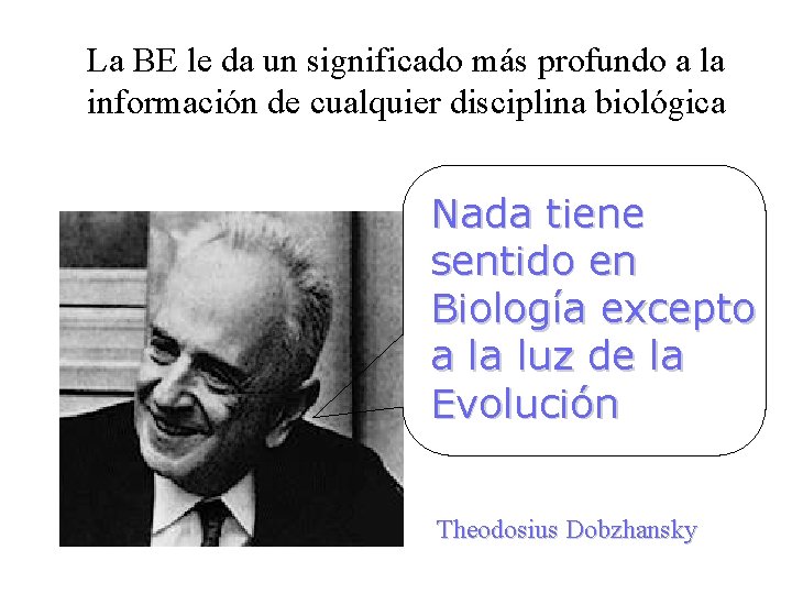 La BE le da un significado más profundo a la información de cualquier disciplina La BE le da un significado más profundo a la información de cualquier disciplina