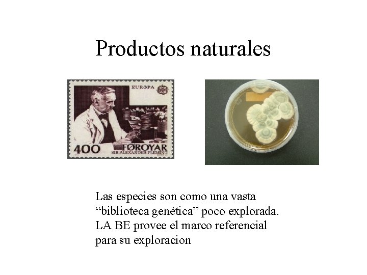 Productos naturales Las especies son como una vasta “biblioteca genética” poco explorada. LA BE Productos naturales Las especies son como una vasta “biblioteca genética” poco explorada. LA BE