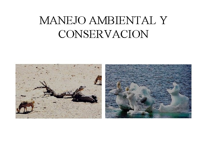MANEJO AMBIENTAL Y CONSERVACION MANEJO AMBIENTAL Y CONSERVACION