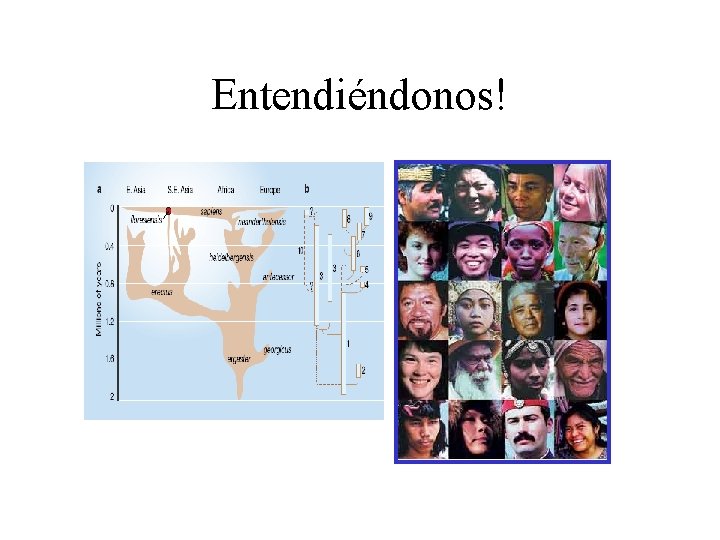 Entendiéndonos! Entendiéndonos!