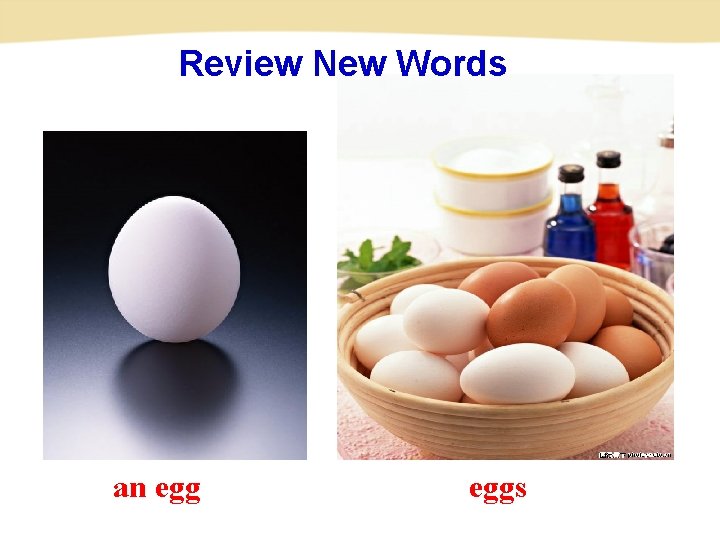 Review New Words an eggs 