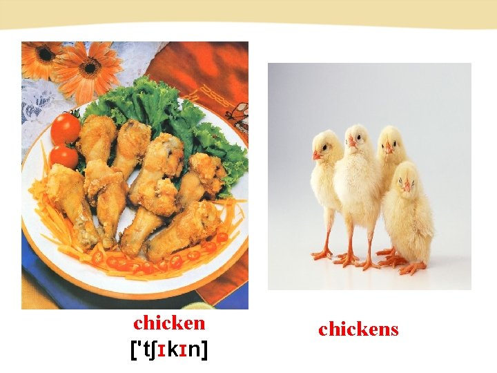 chicken ['tʃɪkɪn] chickens 