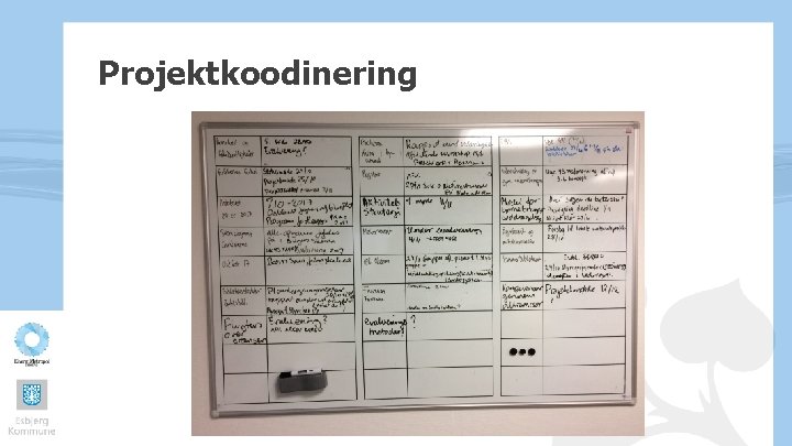 Projektkoodinering 