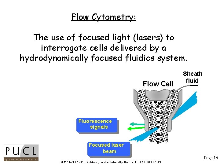 Flow Cytometry: The use of focused light (lasers) to interrogate cells delivered by a Flow Cytometry: The use of focused light (lasers) to interrogate cells delivered by a