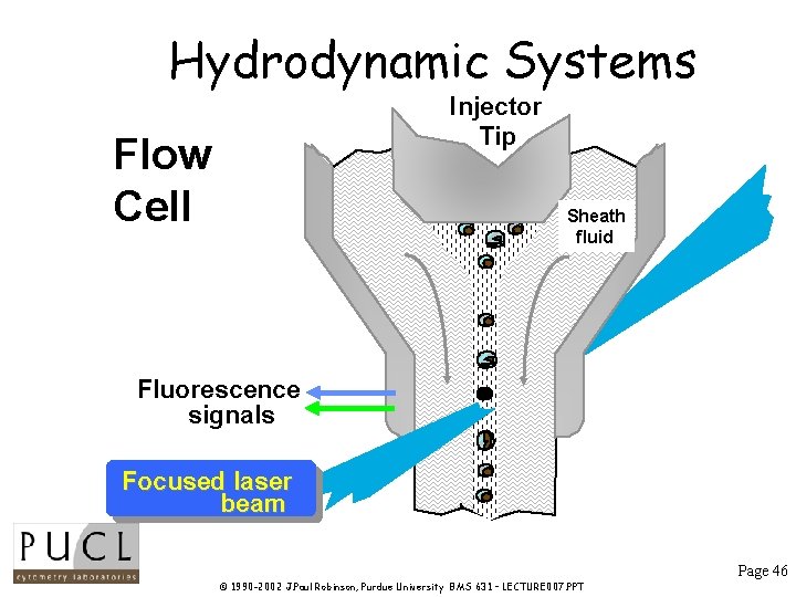Hydrodynamic Systems Injector Tip Flow Cell Sheath fluid Fluorescence signals Focused laser beam Page Hydrodynamic Systems Injector Tip Flow Cell Sheath fluid Fluorescence signals Focused laser beam Page