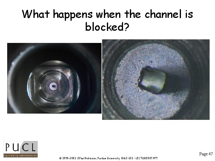What happens when the channel is blocked? Page 47 © 1990 -2002 J. Paul What happens when the channel is blocked? Page 47 © 1990 -2002 J. Paul