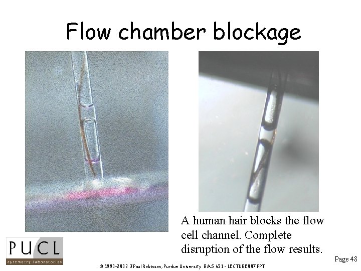 Flow chamber blockage A human hair blocks the flow cell channel. Complete disruption of Flow chamber blockage A human hair blocks the flow cell channel. Complete disruption of