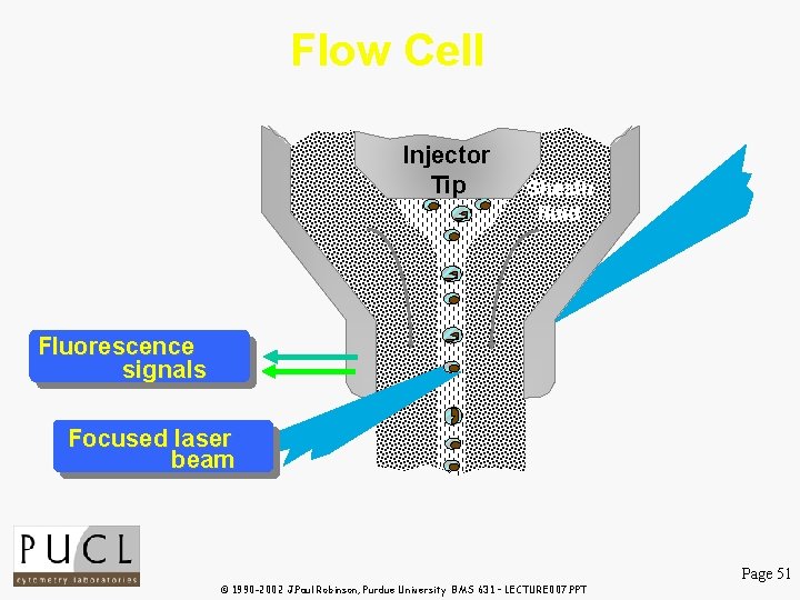 Flow Cell Injector Tip Sheath fluid Fluorescence signals Focused laser beam Page 51 © Flow Cell Injector Tip Sheath fluid Fluorescence signals Focused laser beam Page 51 ©