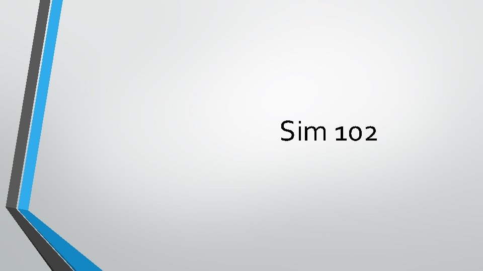  Sim 102 