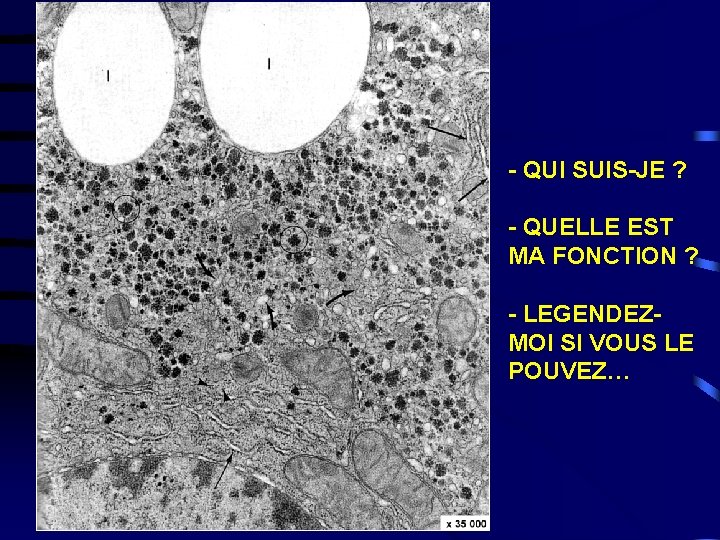 - QUI SUIS-JE ? - QUELLE EST MA FONCTION ? - LEGENDEZMOI SI VOUS