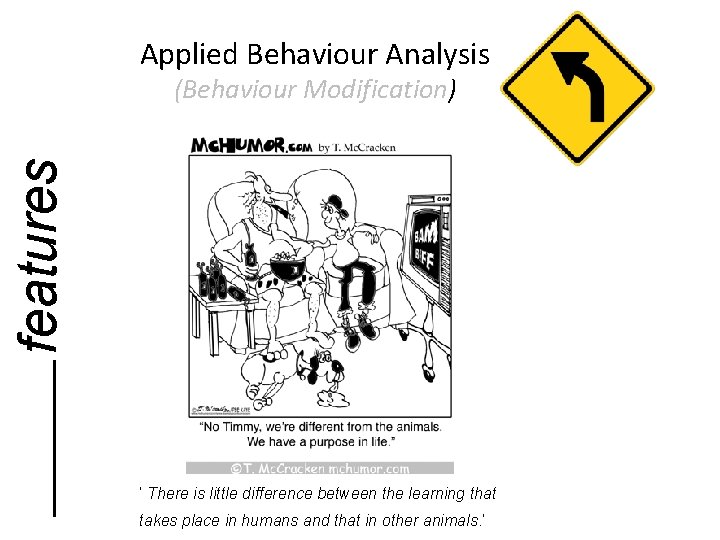 Applied Behaviour Analysis features (Behaviour Modification) ‘ There is little difference between the learning