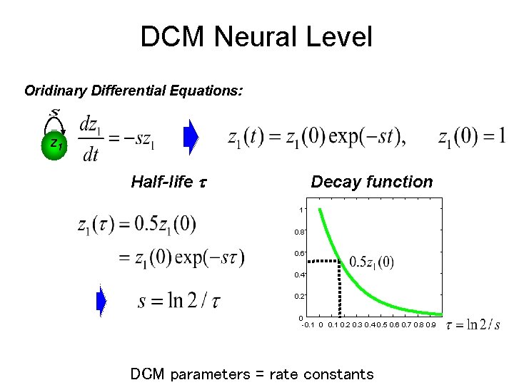 DCM Neural Level Oridinary Differential Equations: z 1 Half-life Decay function 1 0. 8