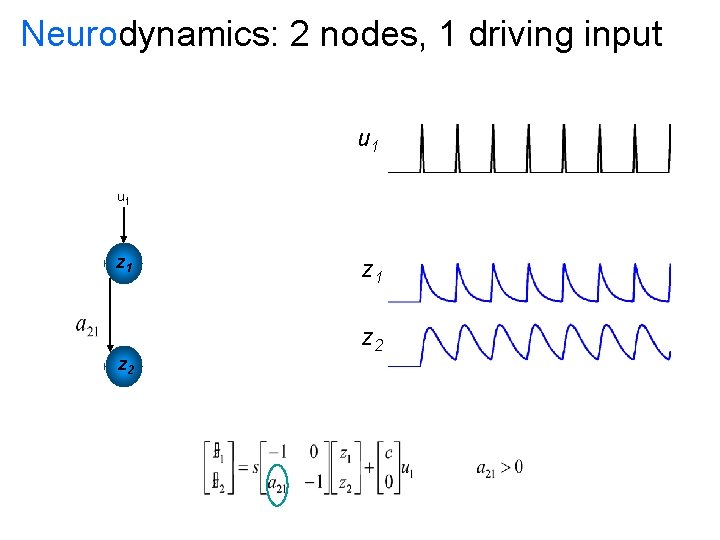 Neurodynamics: 2 nodes, 1 driving input u 1 u 2 z 1 z 2