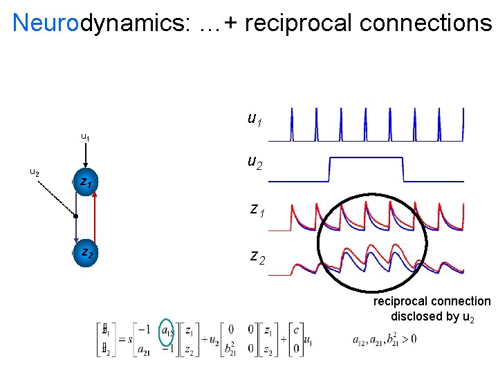Neurodynamics: …+ reciprocal connections u 1 u 2 z 1 z 2 reciprocal connection