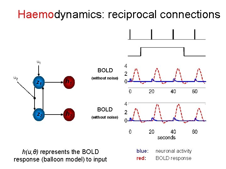 Haemodynamics: reciprocal connections u 1 BOLD u 2 z 1 z 2 h 1