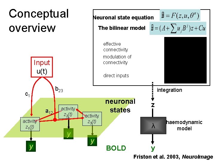 Conceptual overview Neuronal state equation The bilinear model effective connectivity modulation of connectivity Input