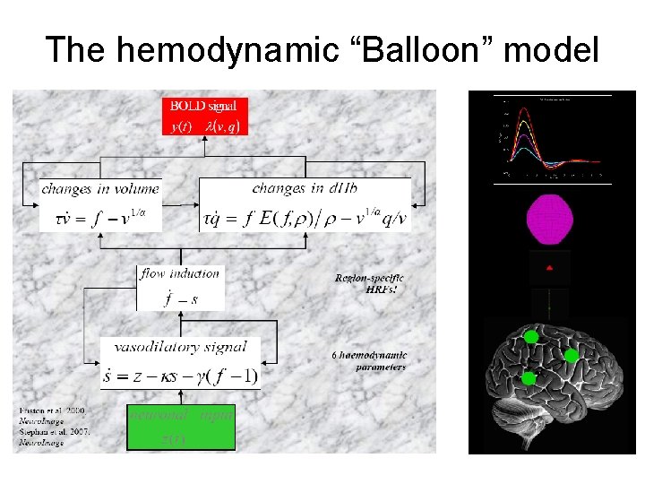 The hemodynamic “Balloon” model 