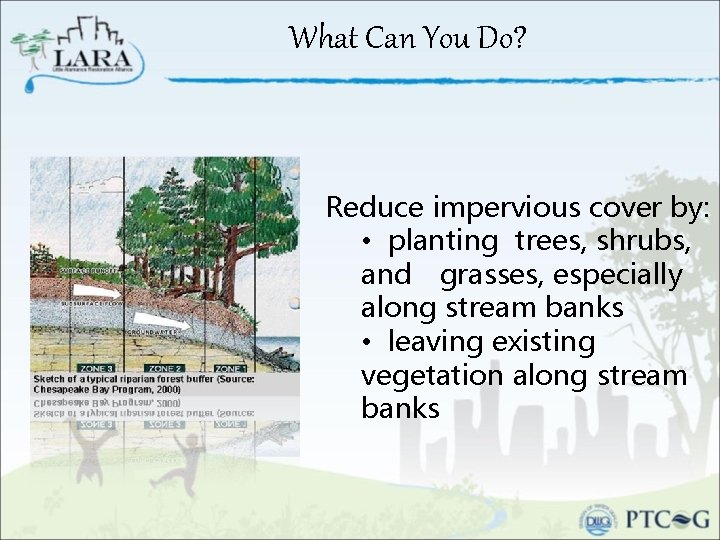 What Can You Do? Reduce impervious cover by: • planting trees, shrubs, and grasses,