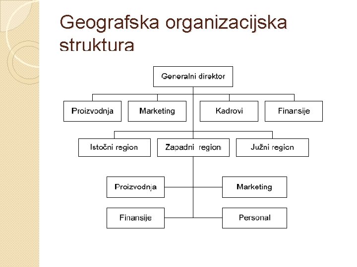 Geografska organizacijska struktura 