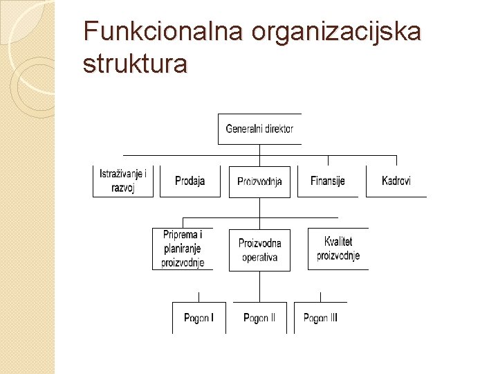 Funkcionalna organizacijska struktura 