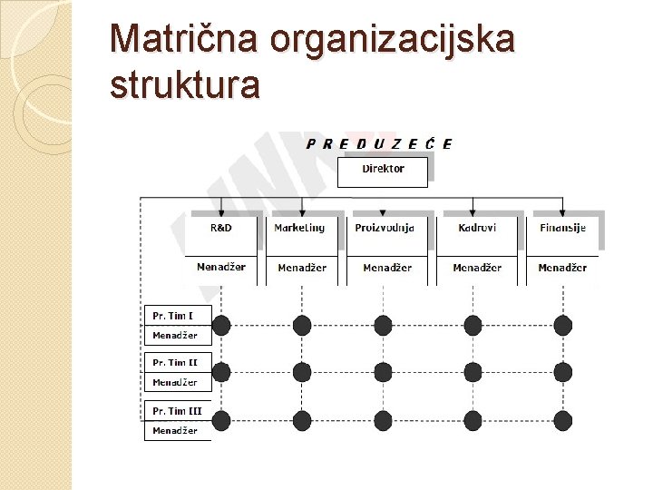 Matrična organizacijska struktura 