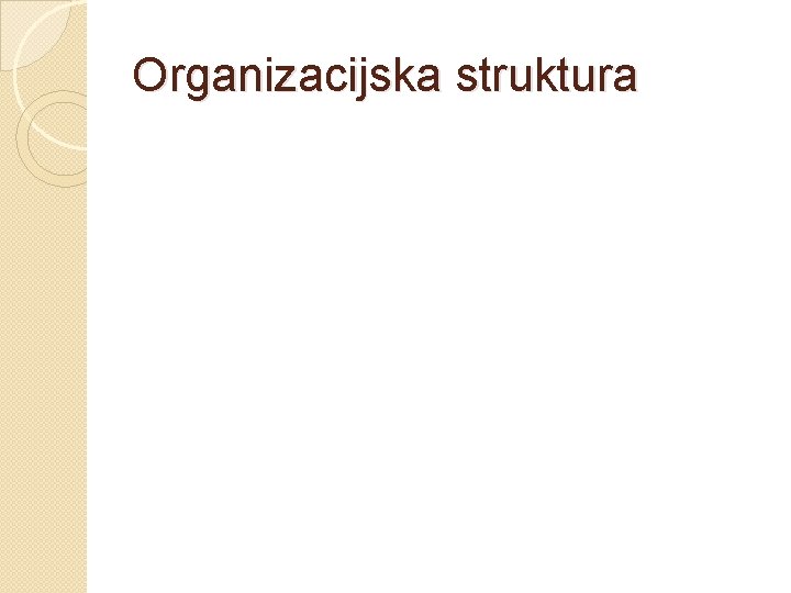 Organizacijska struktura 