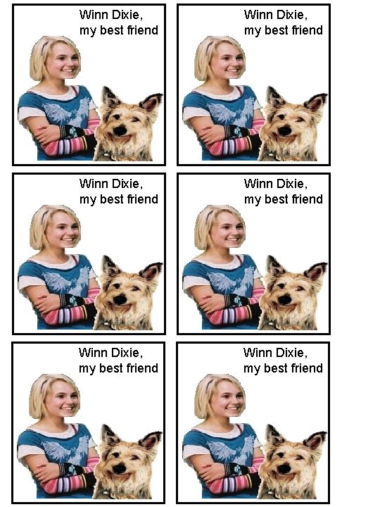 Winn Dixie, my best friend Winn Dixie, my best friend 
