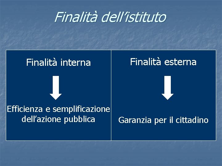 Finalità dell’istituto Finalità interna Finalità esterna Efficienza e semplificazione dell’azione pubblica Garanzia per il