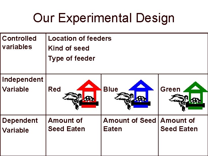 Our Experimental Design Controlled variables Location of feeders Kind of seed Type of feeder