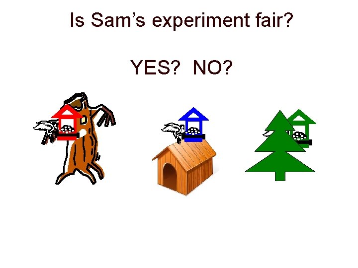 Is Sam’s experiment fair? YES? NO? 