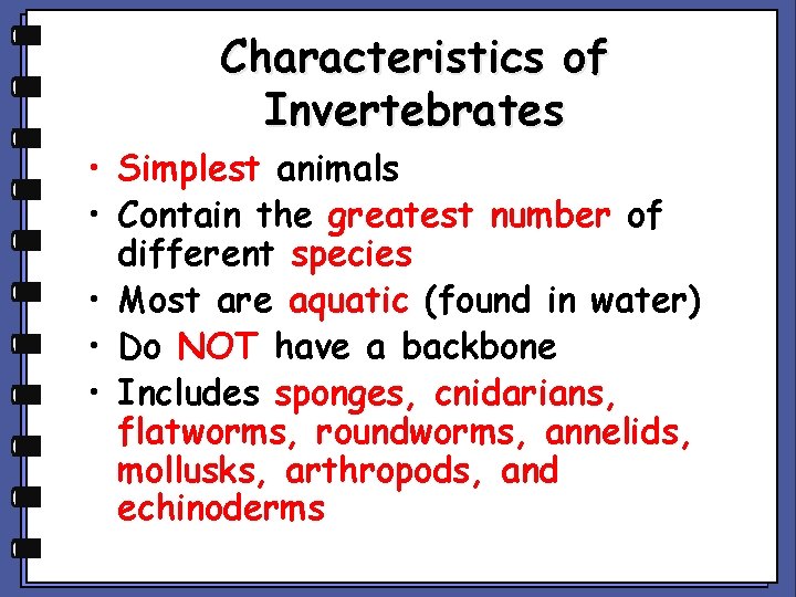 Characteristics of Invertebrates • Simplest animals • Contain the greatest number of different species
