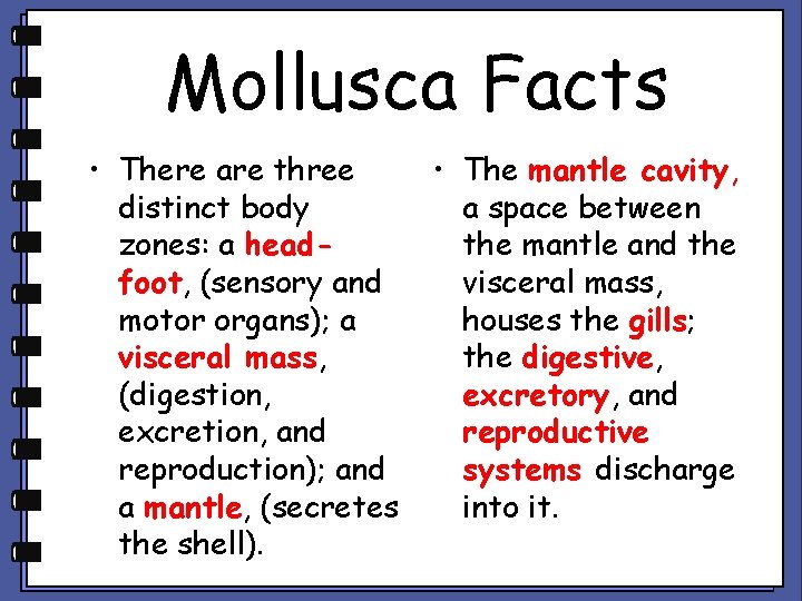 Mollusca Facts • There are three distinct body zones: a headfoot, (sensory and motor